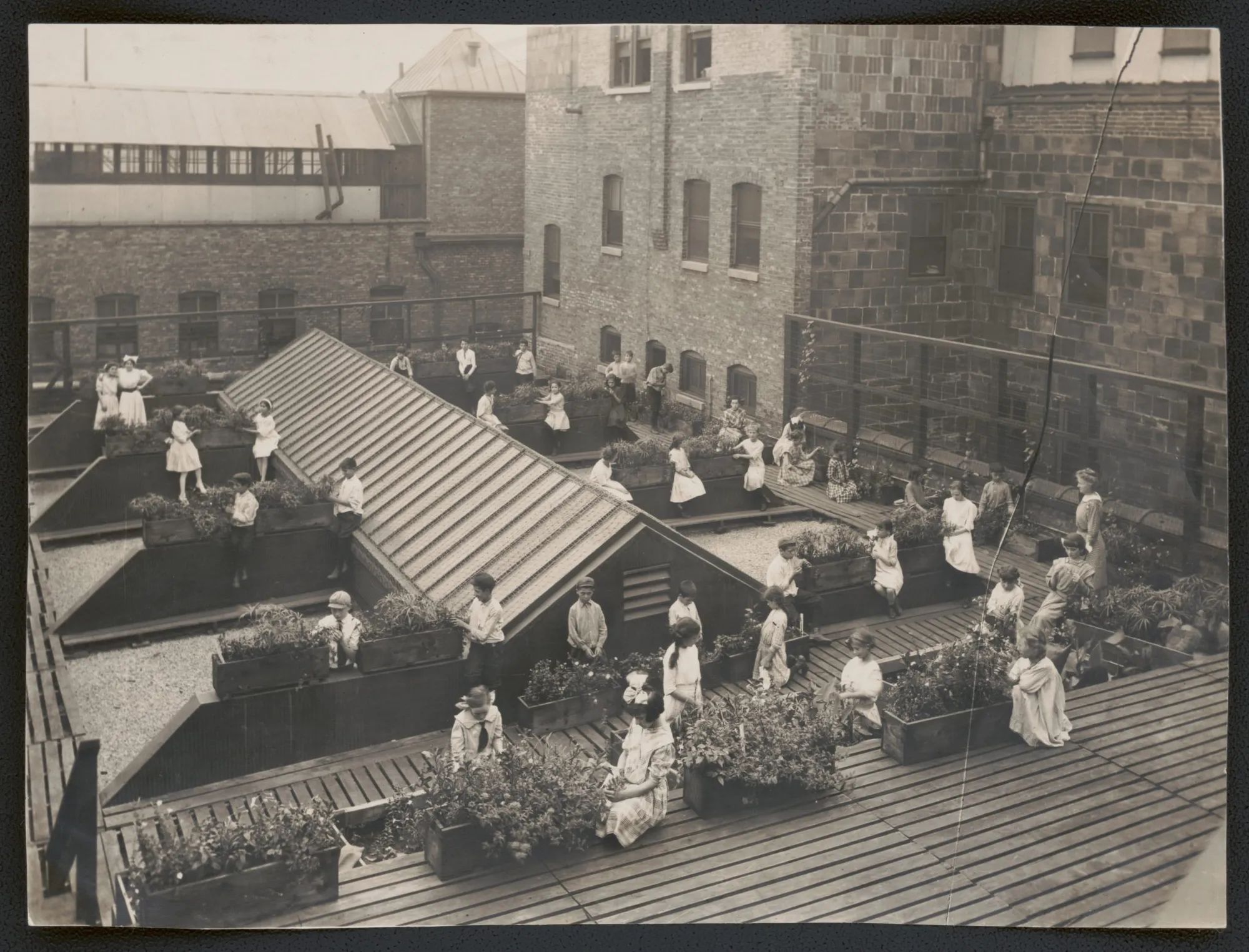 Perennial City: Experiments in Urban Gardening 1