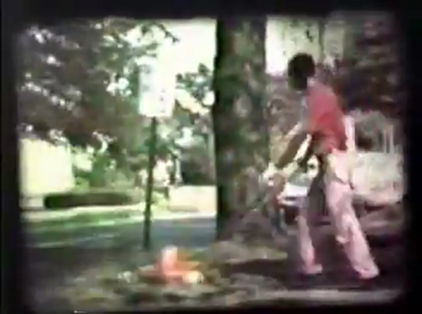 The Lawnmower Video 1